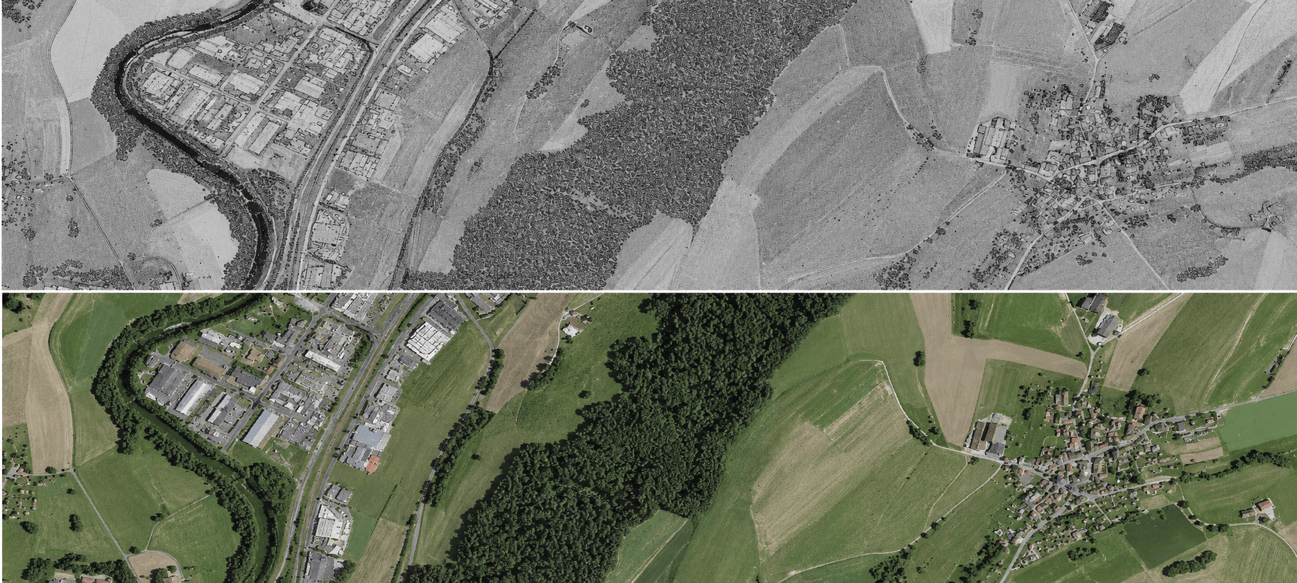 Point Cloud & Ortho Image Processing output 1